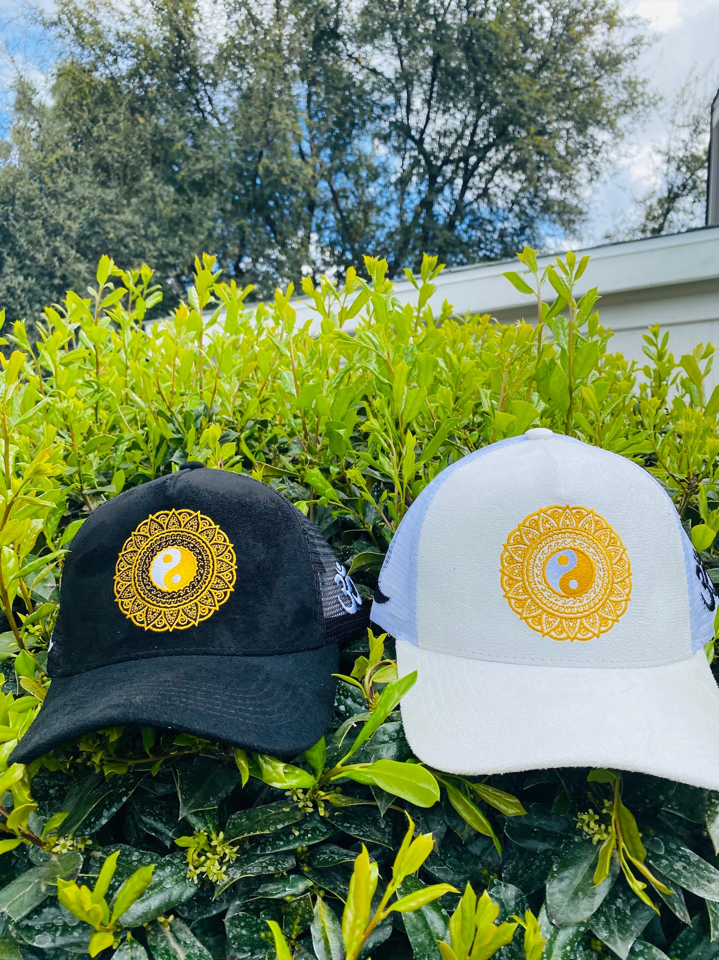 Yin and Yang hats